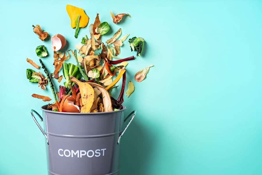 What Is Organic Waste And How To Use It In Your Garden